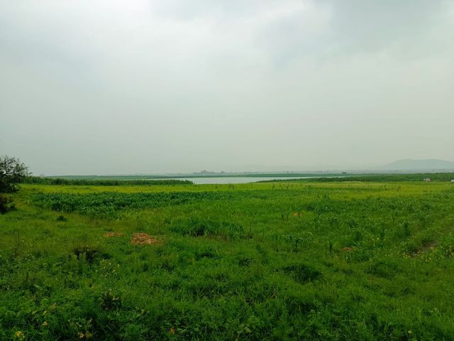 place photo 20
