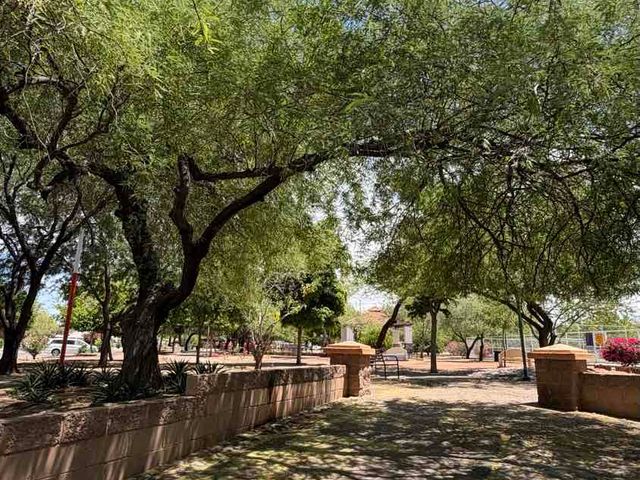 place photo 23
