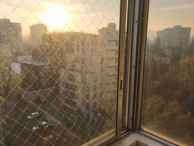 place photo 43