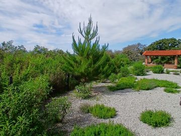 place photo 36