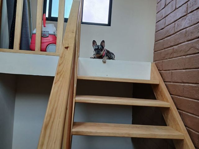 place photo 46