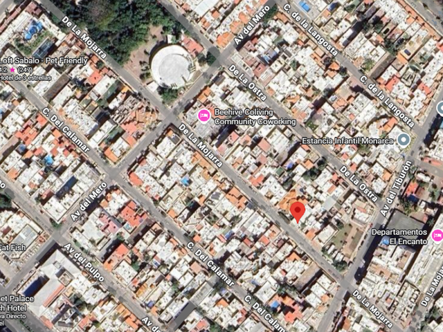 place photo 6