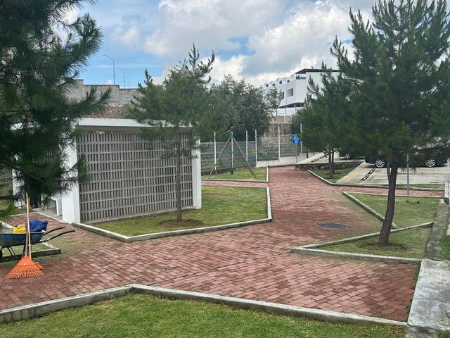 place photo 62
