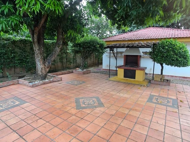 place photo 34