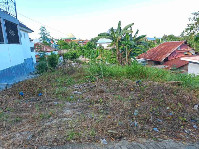 place photo 16