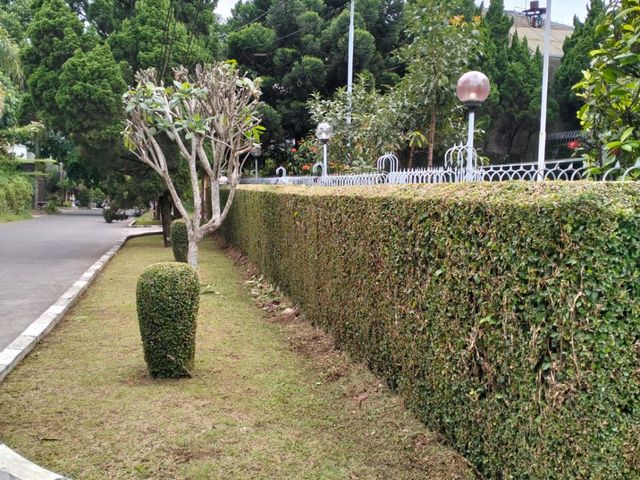 place photo 20