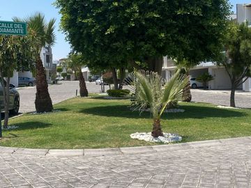 place photo 28