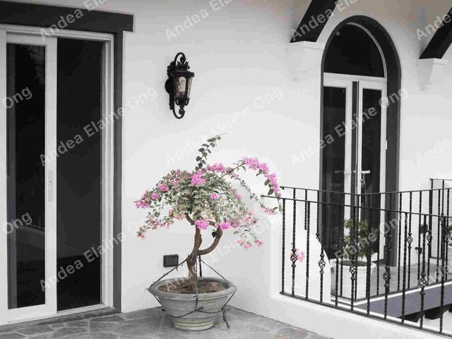 place photo 28