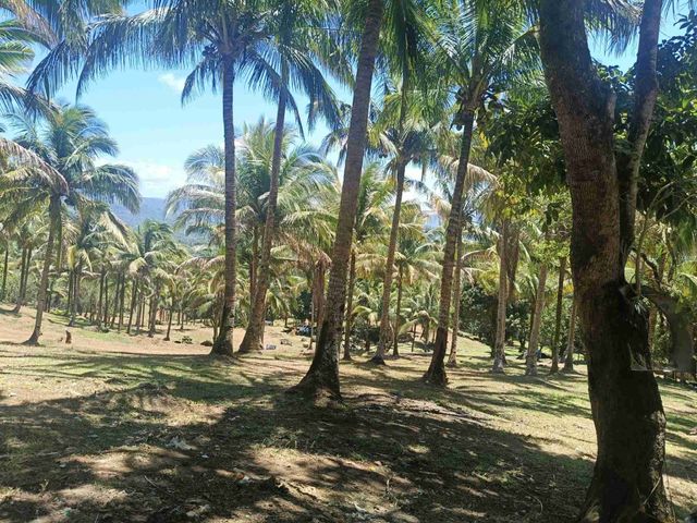 place photo 12