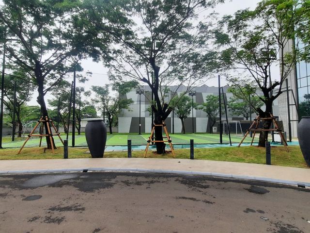 place photo 11