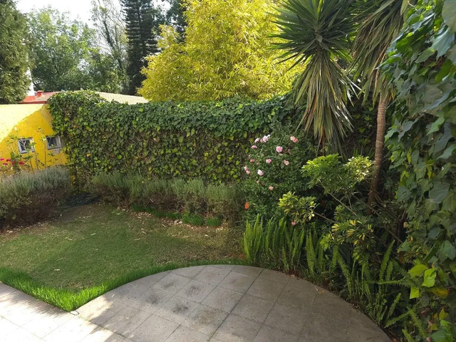 place photo 27