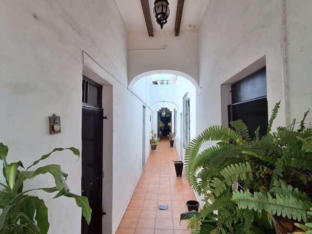 place photo 30