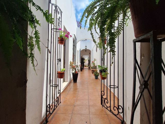 place photo 14