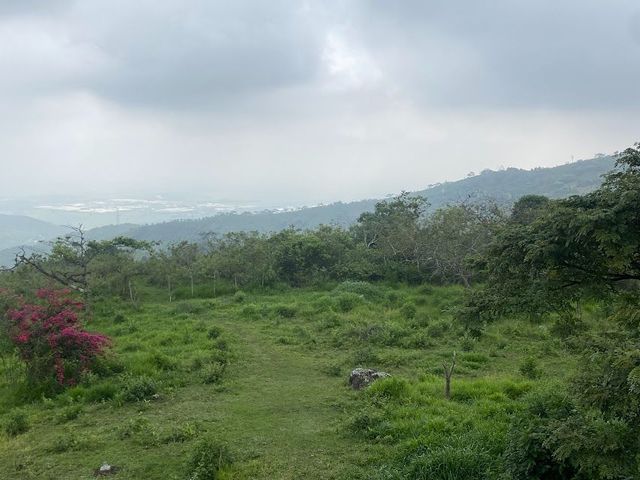 place photo 49