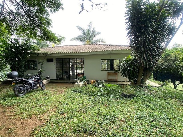 place photo 45