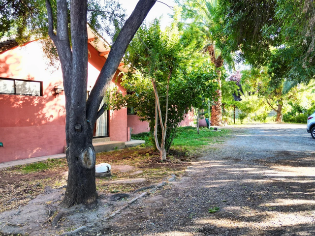 place photo 30