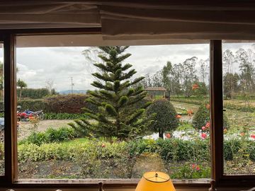 place photo 42