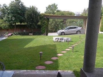 place photo 23