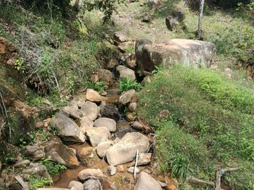 place photo 37