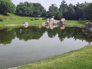 place photo 40