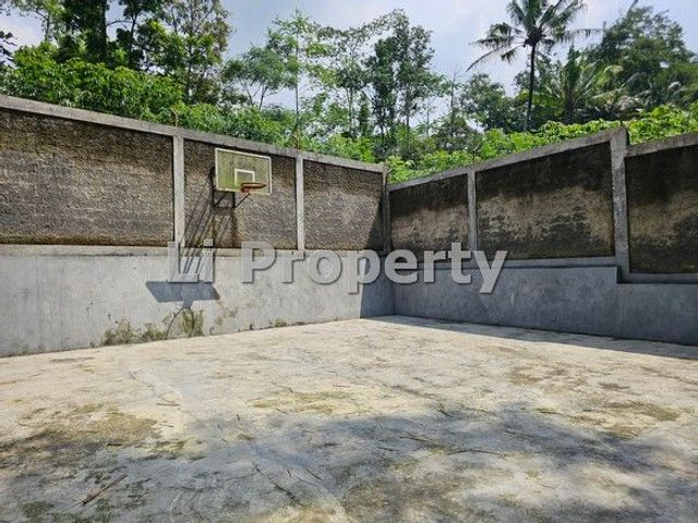 place photo 24
