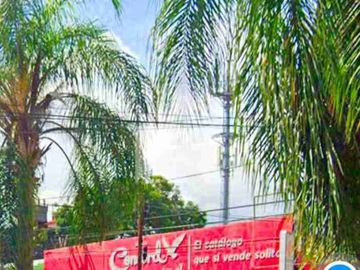 place photo 18