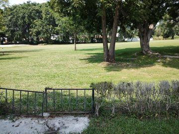 place photo 41