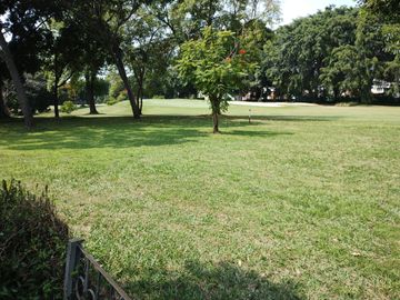 place photo 43