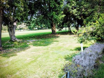 place photo 46