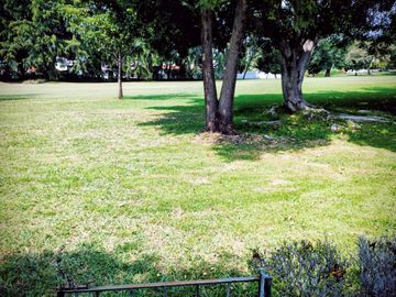 place photo 49