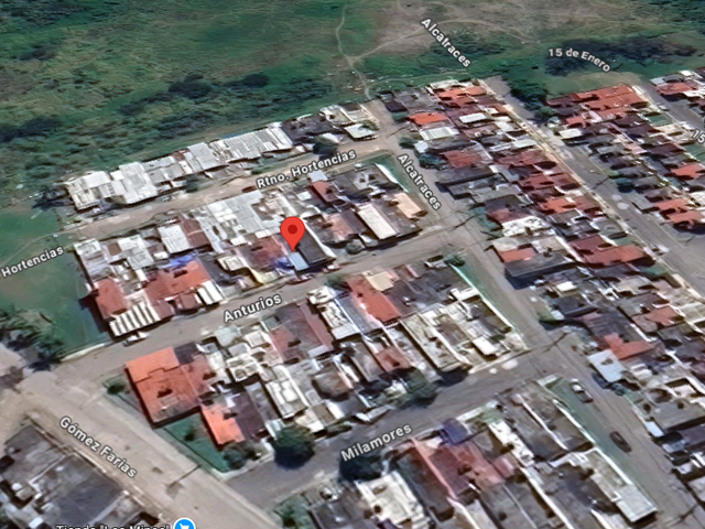 place photo 11