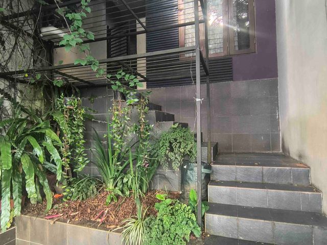 place photo 37