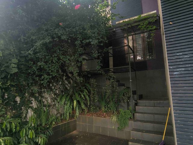 place photo 32