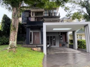 place photo 53