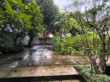 place photo 28