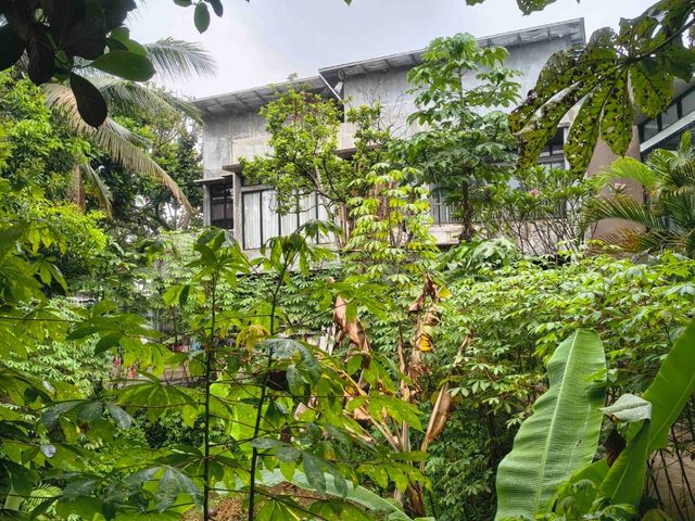 place photo 46
