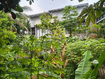 place photo 46