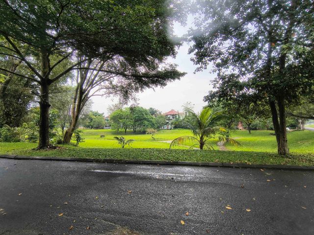 place photo 64