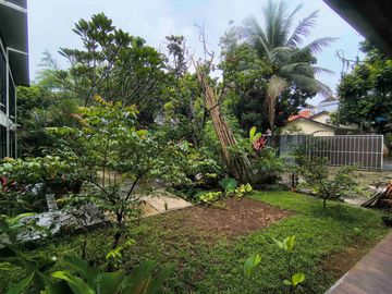 place photo 56