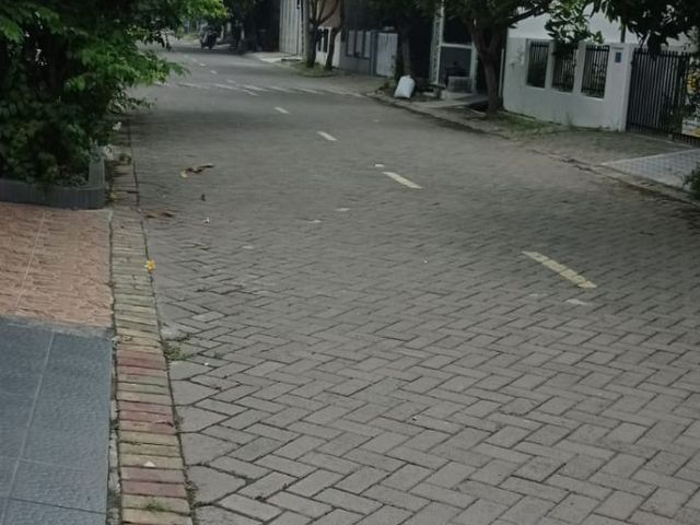 place photo 17