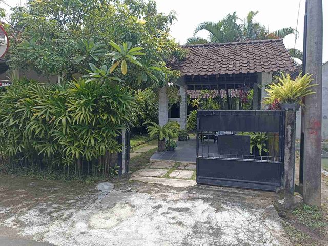 place photo 1