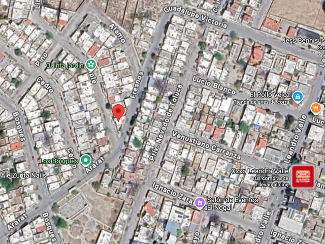 place photo 13