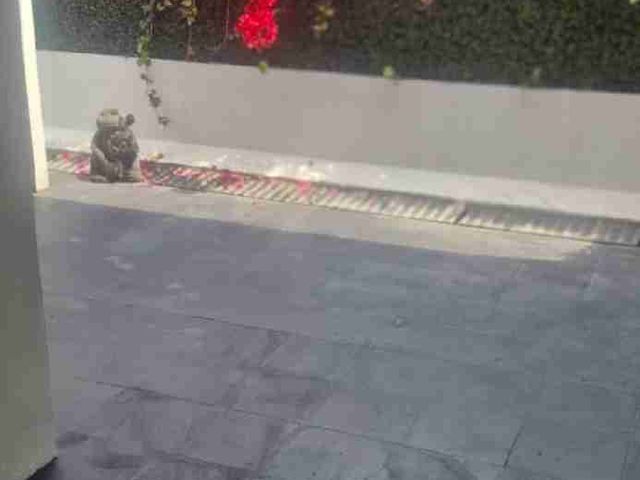 place photo 40