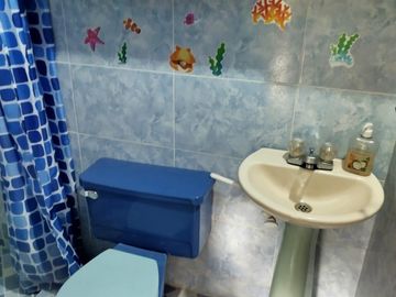 place photo 29