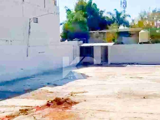 place photo 26