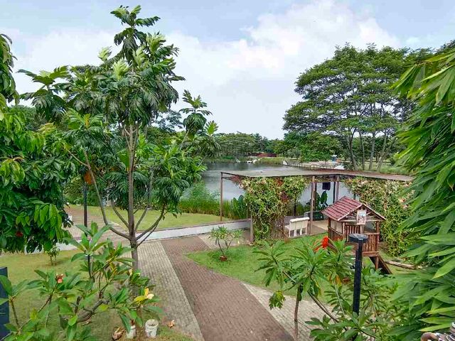 place photo 14