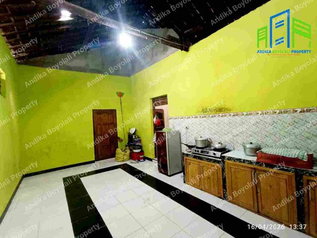place photo 17