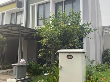 Jawa, PIDIE, Aceh, Indonesia