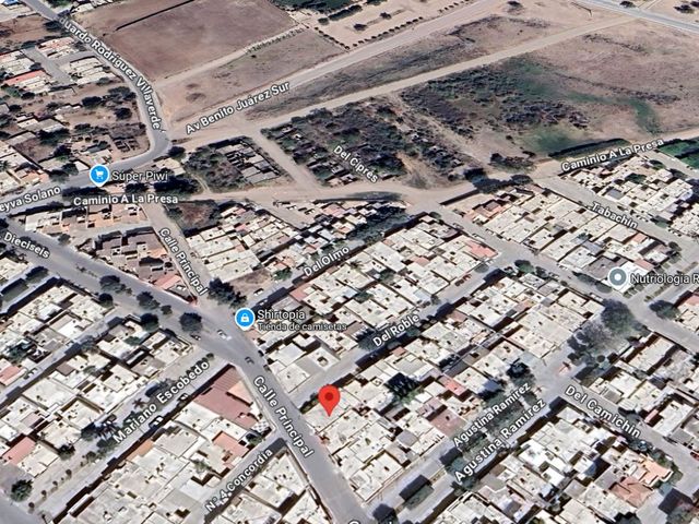 place photo 13