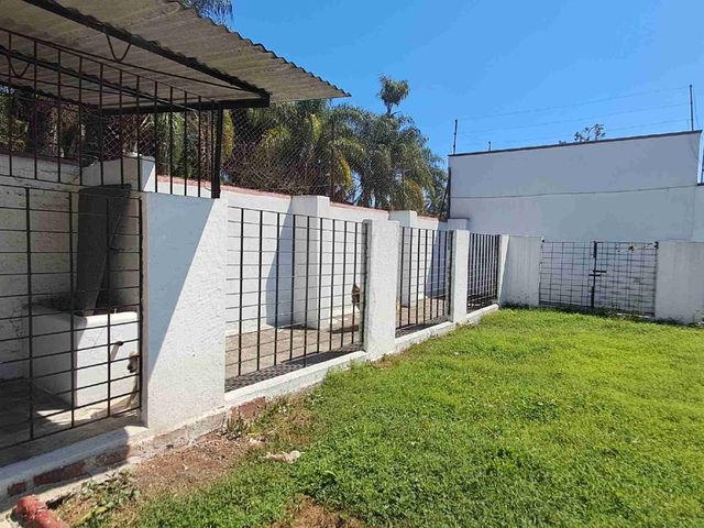 place photo 36